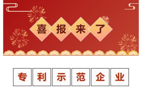 喜報(bào)！金華市專利示范企業(yè)！